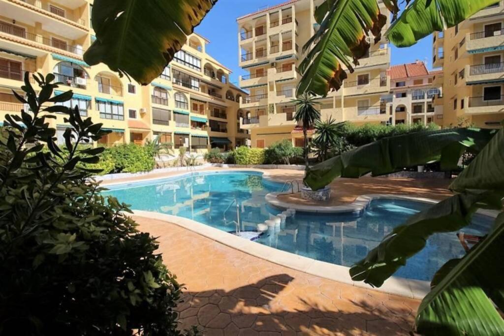 Studio, La Mata , Torrevieja, Vinamar 3 Apartment